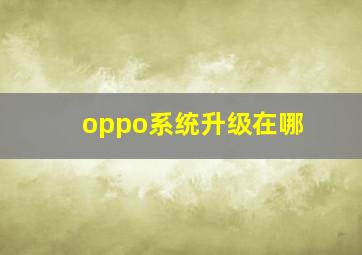 oppo系统升级在哪