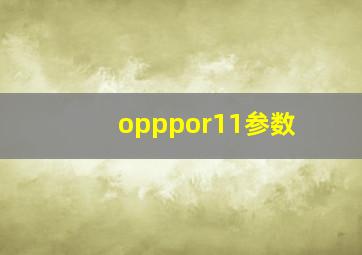 opppor11参数