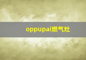 oppupai燃气灶