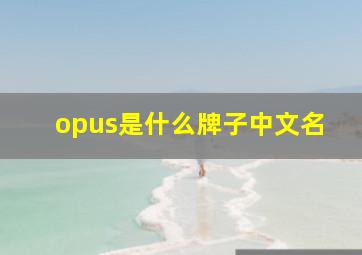 opus是什么牌子中文名