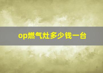 op燃气灶多少钱一台