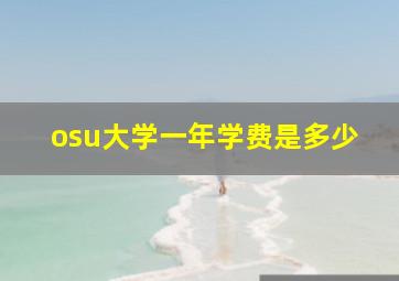 osu大学一年学费是多少