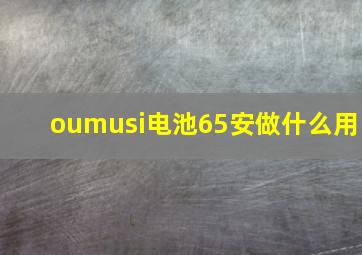 oumusi电池65安做什么用