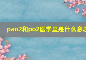 pao2和po2医学里是什么意思