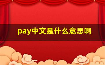 pay中文是什么意思啊