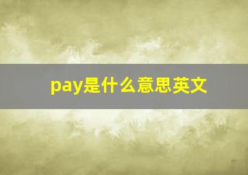 pay是什么意思英文