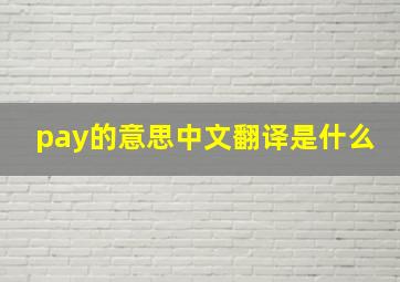 pay的意思中文翻译是什么