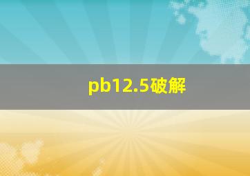 pb12.5破解