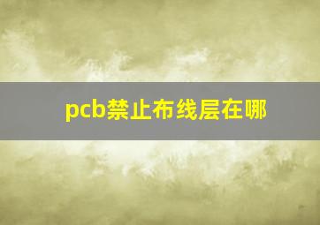 pcb禁止布线层在哪