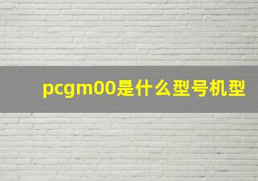 pcgm00是什么型号机型