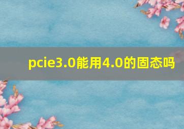 pcie3.0能用4.0的固态吗