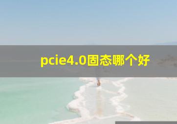 pcie4.0固态哪个好