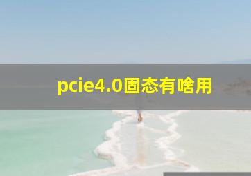 pcie4.0固态有啥用