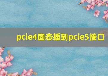 pcie4固态插到pcie5接口