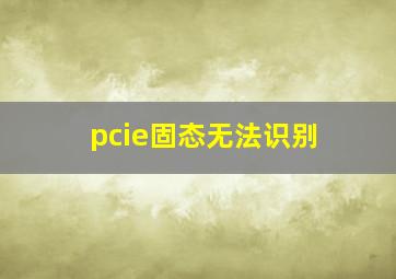 pcie固态无法识别