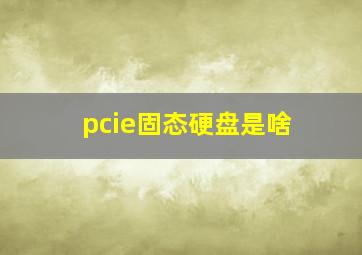 pcie固态硬盘是啥