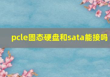 pcle固态硬盘和sata能接吗