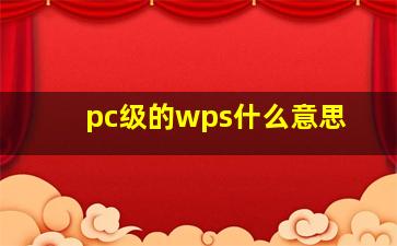 pc级的wps什么意思