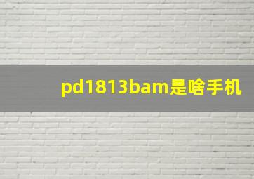 pd1813bam是啥手机