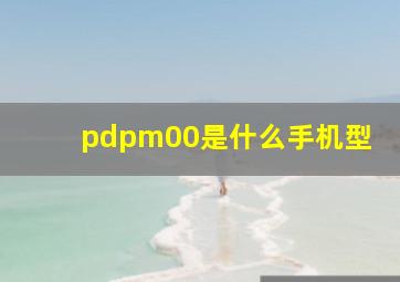 pdpm00是什么手机型