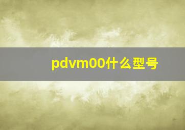 pdvm00什么型号