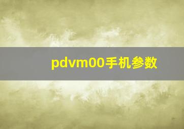 pdvm00手机参数