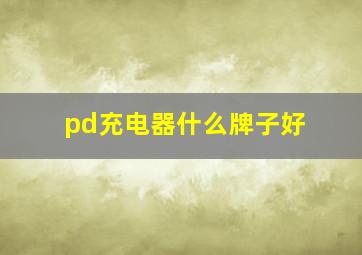 pd充电器什么牌子好