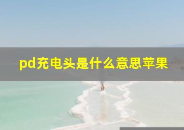 pd充电头是什么意思苹果