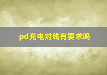 pd充电对线有要求吗