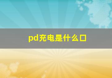 pd充电是什么口