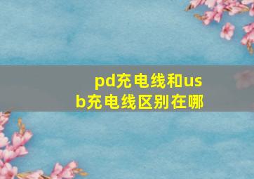 pd充电线和usb充电线区别在哪