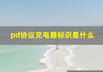 pd协议充电器标识是什么