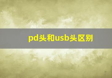 pd头和usb头区别