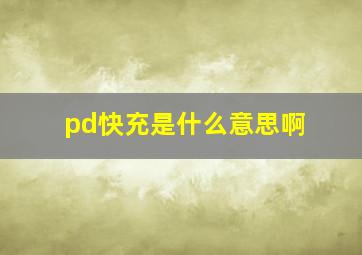 pd快充是什么意思啊