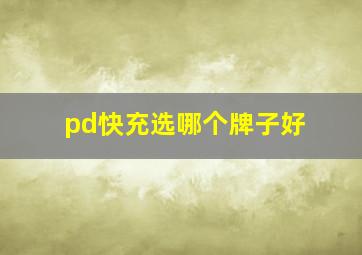 pd快充选哪个牌子好