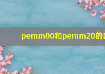 pemm00和pemm20的区别