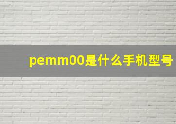 pemm00是什么手机型号