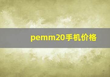 pemm20手机价格