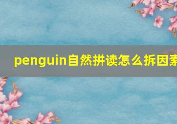 penguin自然拼读怎么拆因素