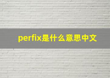 perfix是什么意思中文