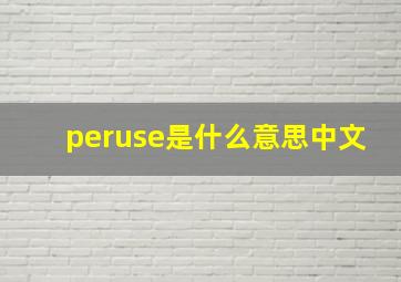 peruse是什么意思中文