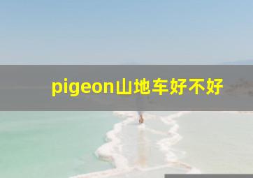 pigeon山地车好不好