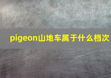 pigeon山地车属于什么档次