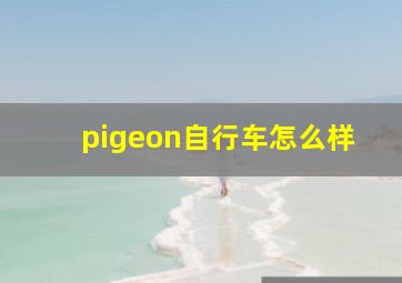 pigeon自行车怎么样