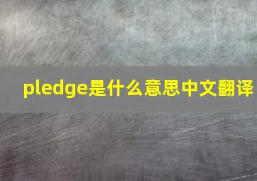 pledge是什么意思中文翻译