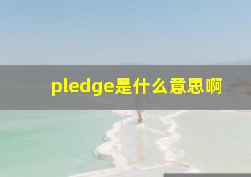 pledge是什么意思啊