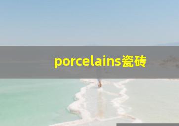 porcelains瓷砖