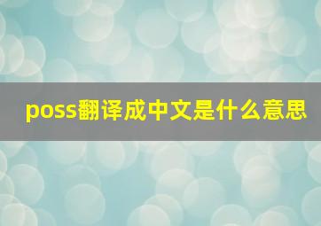 poss翻译成中文是什么意思