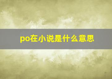 po在小说是什么意思