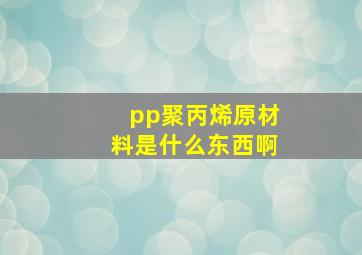 pp聚丙烯原材料是什么东西啊